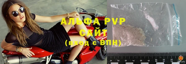 спиды Дмитриев